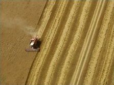 Герджиков успокои зърнопроизводители за евросубсидиите