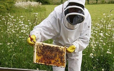 Пчеларите с по 5 млн. лв. годишни помощи до 2020 г.