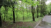 Около 1/5 от Южния парк в София се оказа частна собственост