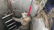 "Екоравновесие" спаси паднало в шахта куче