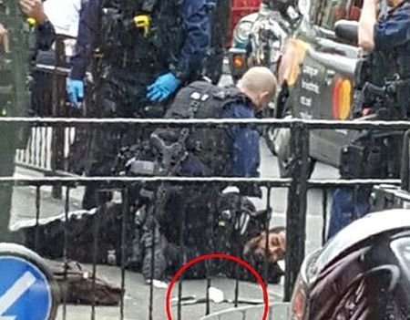 Мъж, въоръжен с два ножа, е арестуван пред резиденцията на Тереза Мей в Лондон