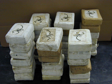 Властите в Панама задържаха 64 души и 4 тона кокаин