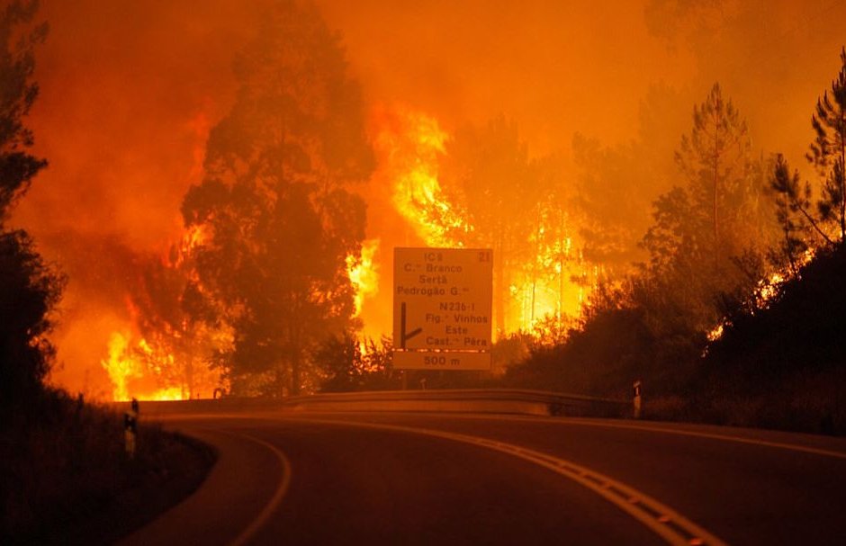 Португалия очаква чуждестранна помощ заради смъртоносните  горски пожари