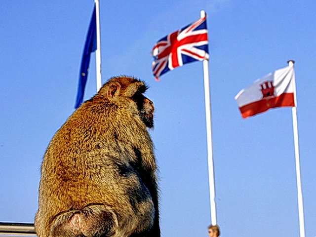 Гибралтар и Великобритания може да бъдат третирани като една страна член