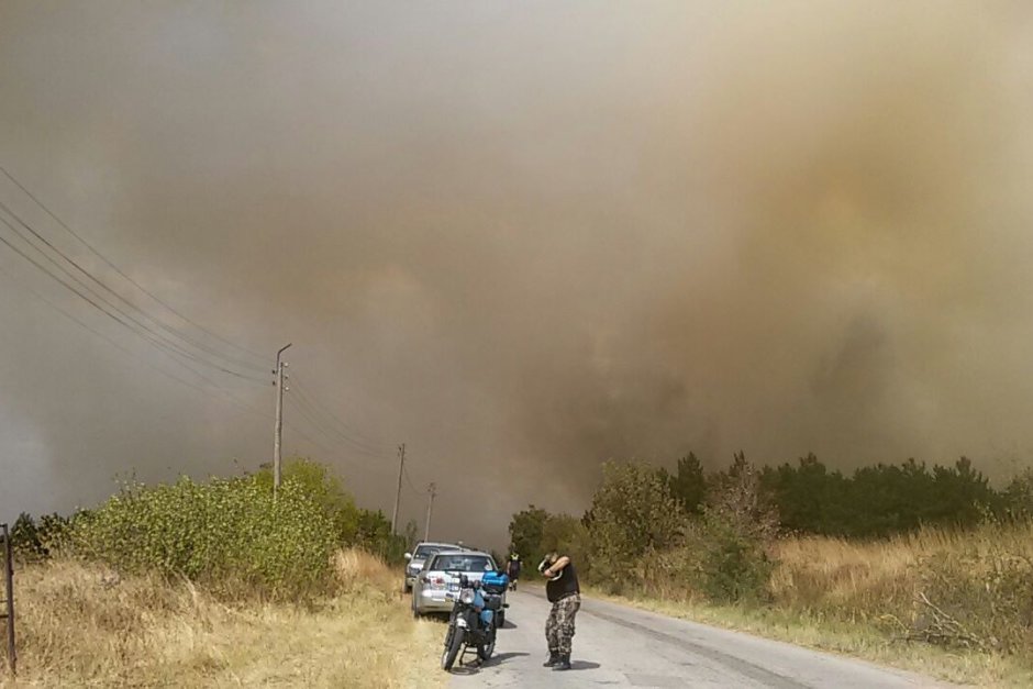 Пожар гори в землищата на няколко кюстендилски села