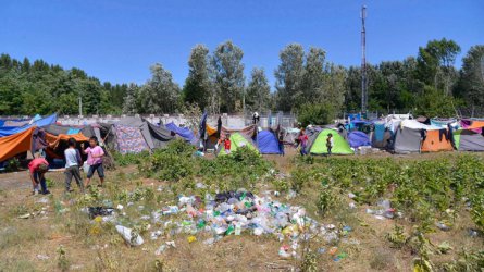 Румънските власти разкриха нелегален лагер с мигранти край Тимишоара