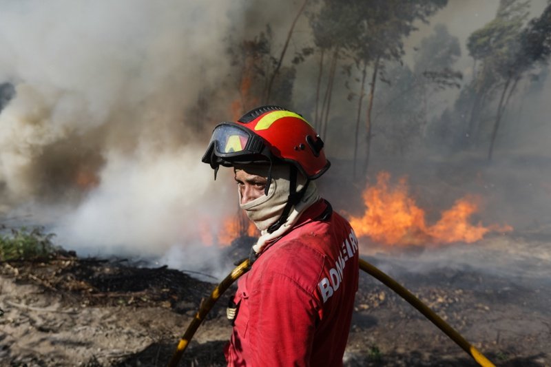 Повече от 4000 огнеборци се опитват да потушат над 250 горски пожара в Португалия
