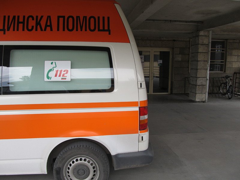 Жена е в болница след падане на дърво на столичния бул. "Дондуков"