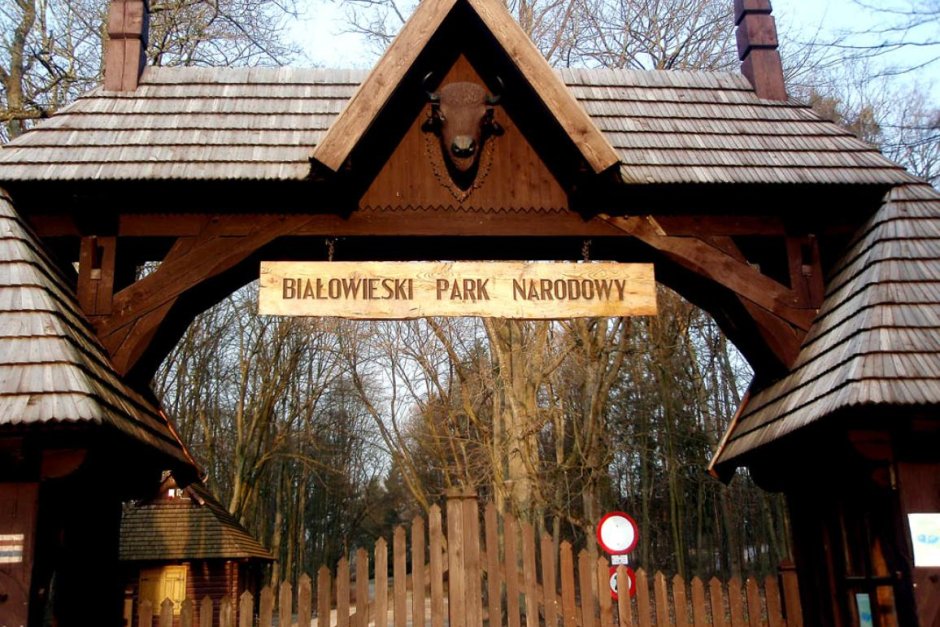 Европейският съд нареди на Полша незабавно да спре изсичането на Беловежката гора