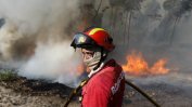 Четири населени места евакуирани в Португалия заради горски пожари