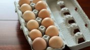 Холандия е знаела за заразените яйца още миналата година