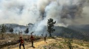 Вятърът и новите горещини пак разпалват горските пожари в Португалия