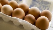 Назрява скандал с отровни яйца в Германия и Холандия
