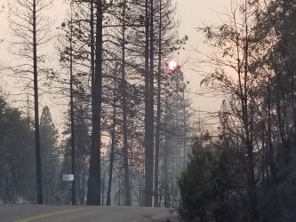 Пожар изпепели няколко къщи и доведе до евакуация на жители на Северна Калифорния