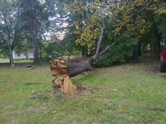 Бурята в Западна България остави без ток 6 врачански общини