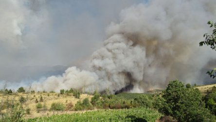 Пожарът в Кресненското дефиле е овладян, но оставя след себе си екокатастрофа