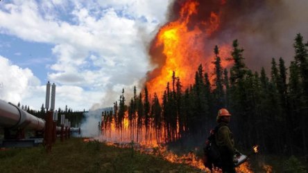 Огромен горски пожар в канадската провинция Британска Колумбия