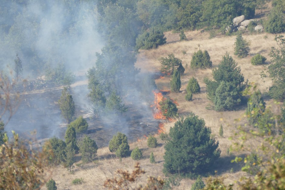 МВР евакуира село Влахи заради пожара в Кресненското дефиле