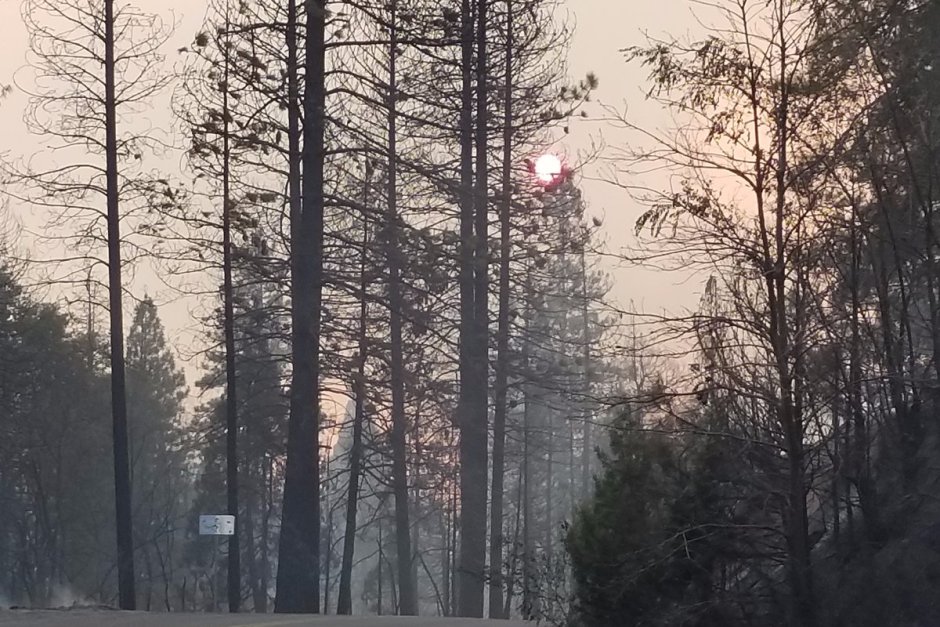 Пожар изпепели няколко къщи и доведе до евакуация на жители на Северна Калифорния