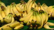 НАП продава близо 40 тона банани