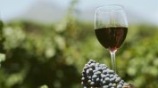 Заради лошото време тази година производството на вино във Франция да спадне с 18%