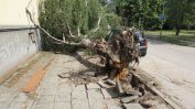 Буря нанесе щети, блокира пътища и остави населени места без ток в Русенско