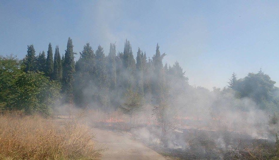 Пожар в старозагорския парк "Бедечка"