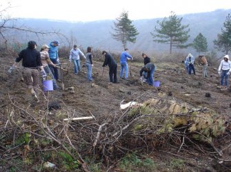 Общината ще разчита на доброволен труд за засаждането на новата гора край Суходол.