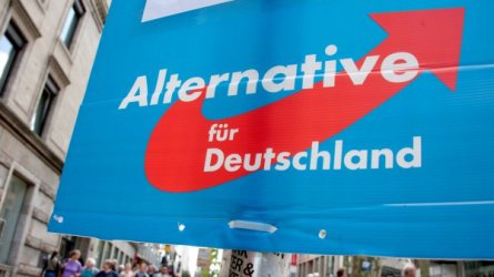 Според германците "Алтернатива за Германия" няма дългосрочен хоризонт