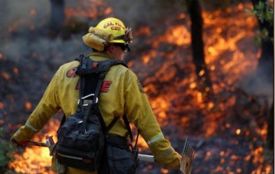 Загиналите в калифорнийските пожари вече са 42-ма души