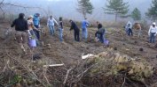 Общината в София засажда гора край Суходол