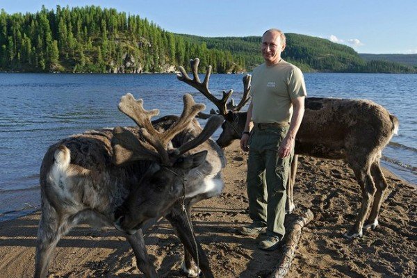 Владимир Путин сред елени. 