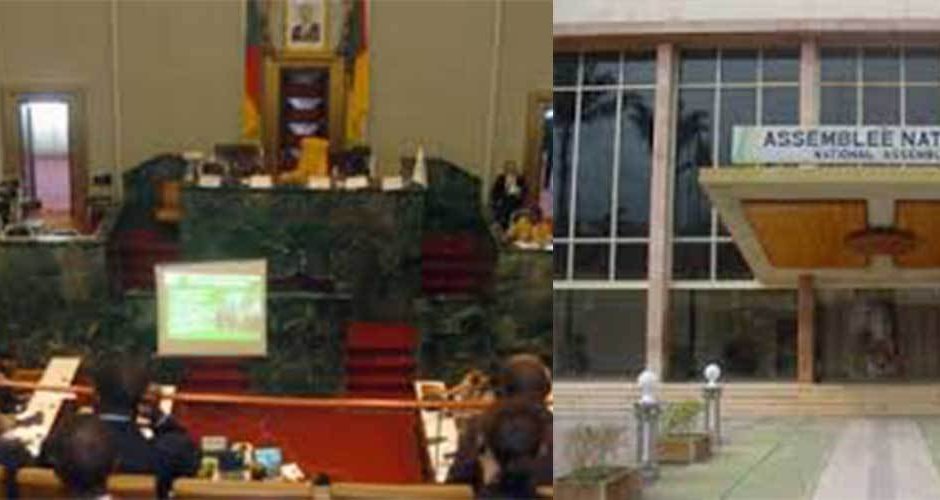 Парламентът на Камерун изгоря, пожарната закъсняла два часа