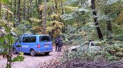София ще пази с табели гражданите от опасните дървета в Борисовата градина