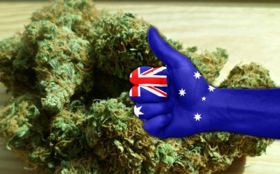 Австралия планира да легализира износа на канабис за медицински нужди