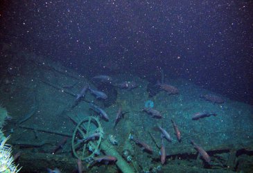 Открити са останките на австралийска подводница от Първата световна война