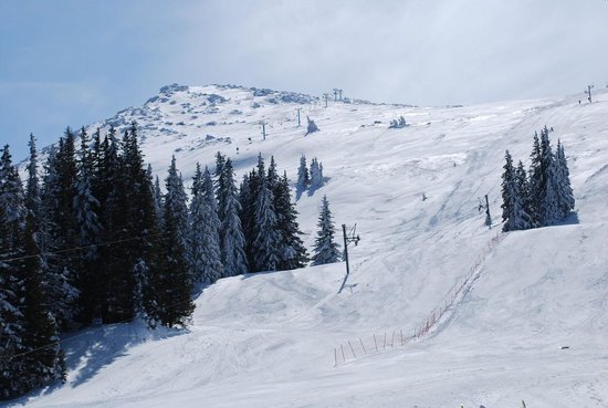 Изглед към ски влека "Заека"