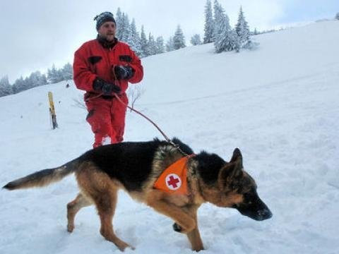 Двама сноубордисти са спасени от планински спасители