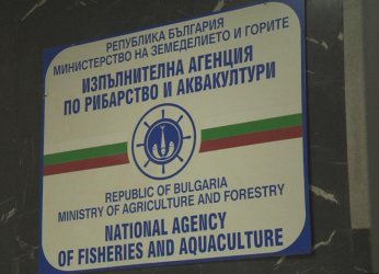 Новият стар главсек на агенцията по рибарство навремето е уволнен от МВР за контрабанда