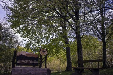 Вековните букови гори в "Централен Балкан" се включват в междудържавен обект на ЮНЕСКО