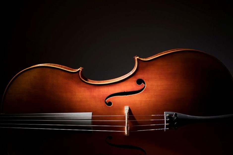 Крадец върна виолончело за 1.3 млн. евро