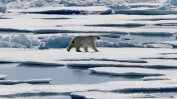 Климатолози отчетоха рекордно топла зима в Арктика