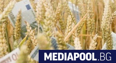 Три пъти по нисък от сегашния таван на европейската субсидия на