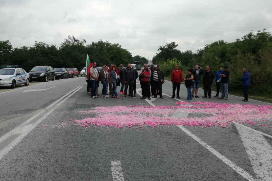 Ниската изкупна цена на розата изкара производителите на протест