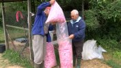 Порожанов обяви за решен проблемът с изкупуването на розовия цвят