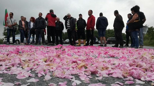 Производители на рози протестираха срещу ниската изкупна цена, сн. БГНЕС
