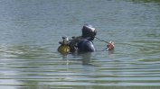 Водолази откриха тялото на дете, изчезнало във водите на Струма