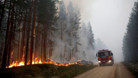 Заради 40 горски пожари Швеция евакуира цели села