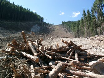 Съдът отмени плана за строежи в Пирин