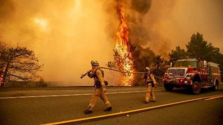 Най-малко 44 пострадали при пожар в Португалия